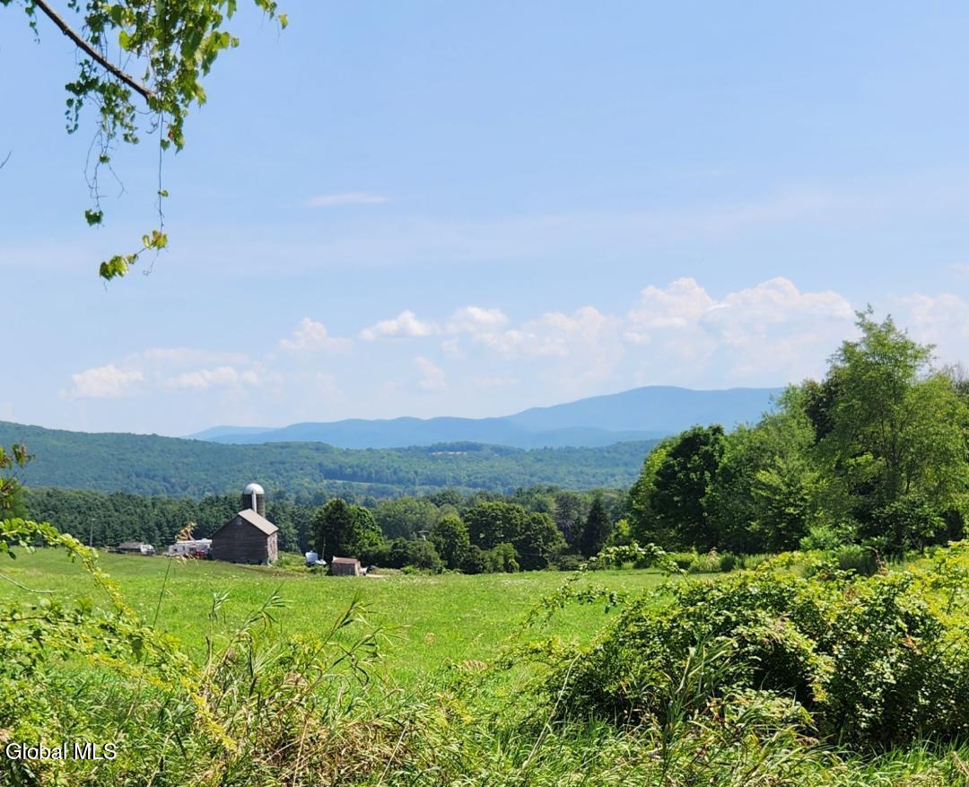 217 Stevenson Rd - mountain view from de