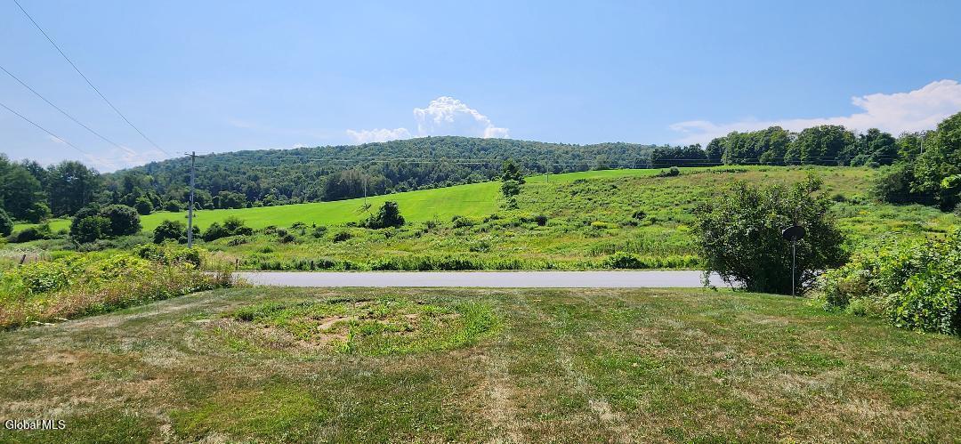 217 Stevenson Rd - easterly view from de