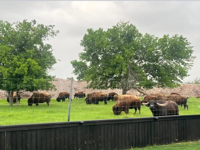 a view of an outdoor space and yard