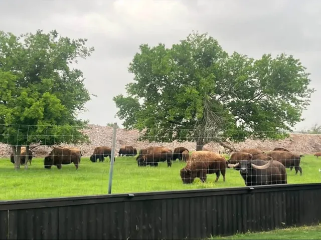 a view of an outdoor space and yard