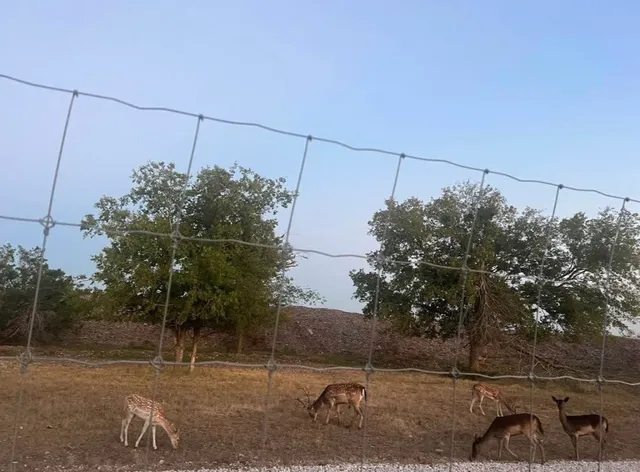 a backyard of a house
