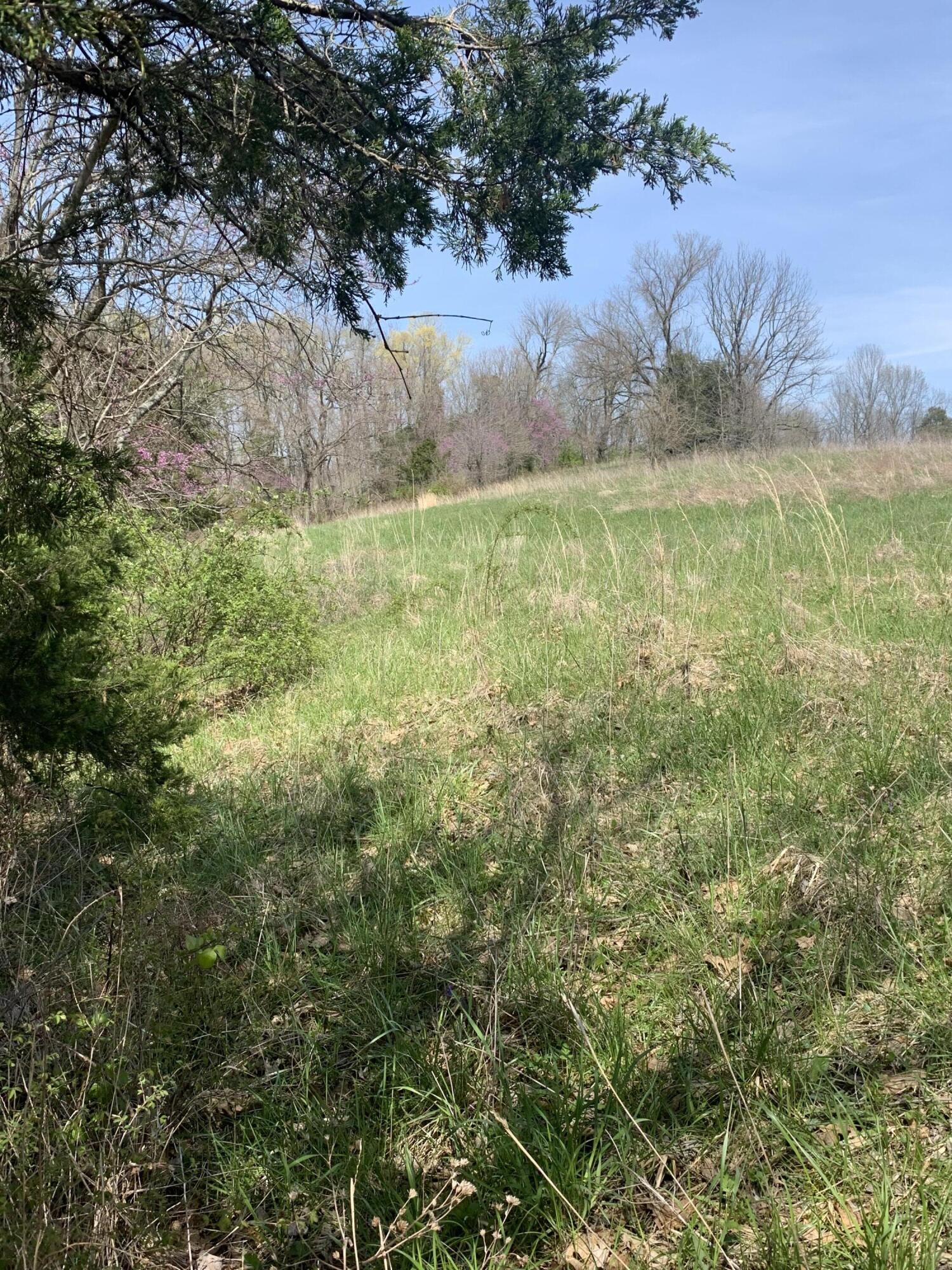 1000 Britton Road Harrodsburg, KY 40330 - Photo 47 of 88 FEC00C38-2576-4F17-802A-1F68BD1A689B