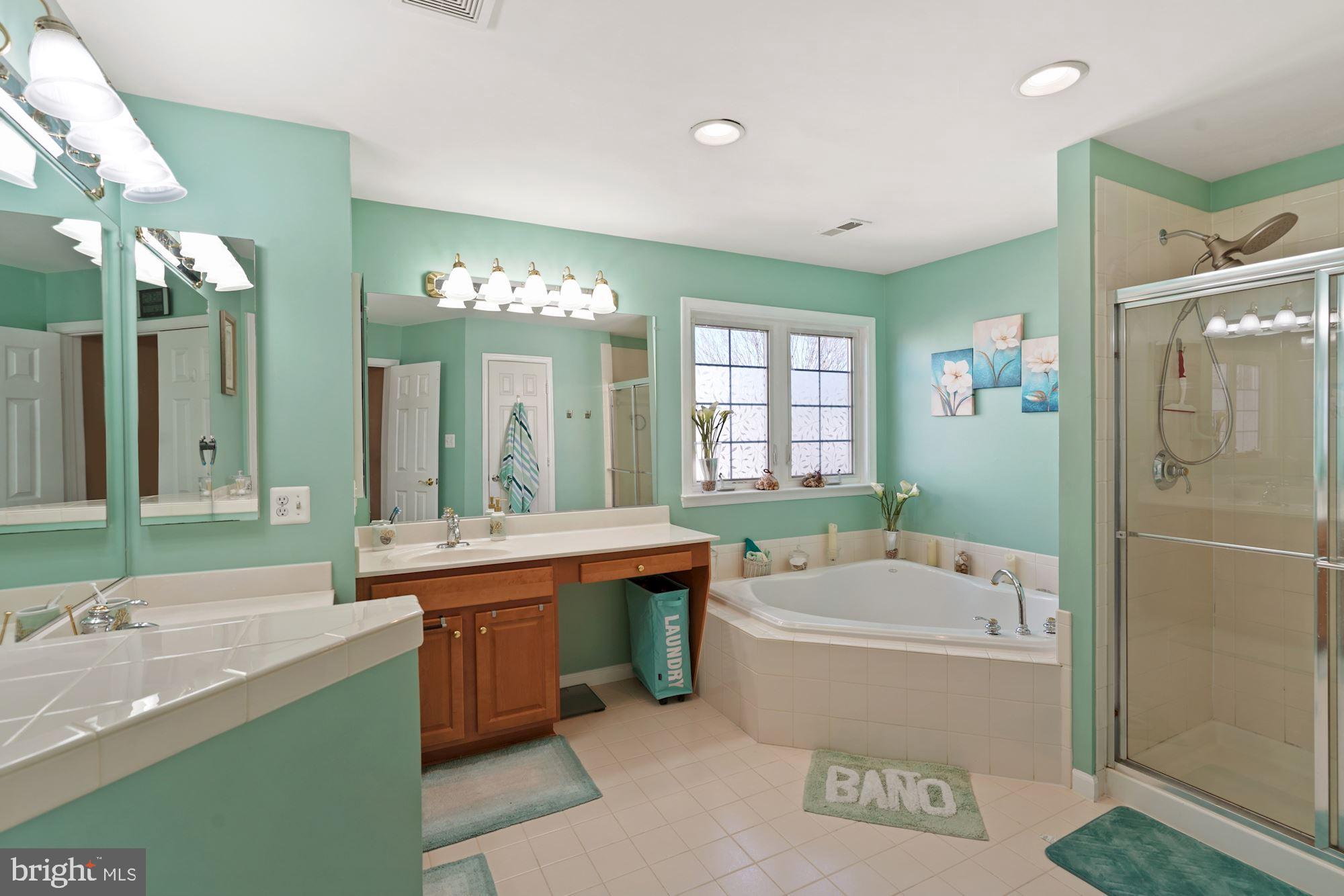 4016 Sapling Way Triangle, VA 22172 - Photo 20 of 43 primary bath