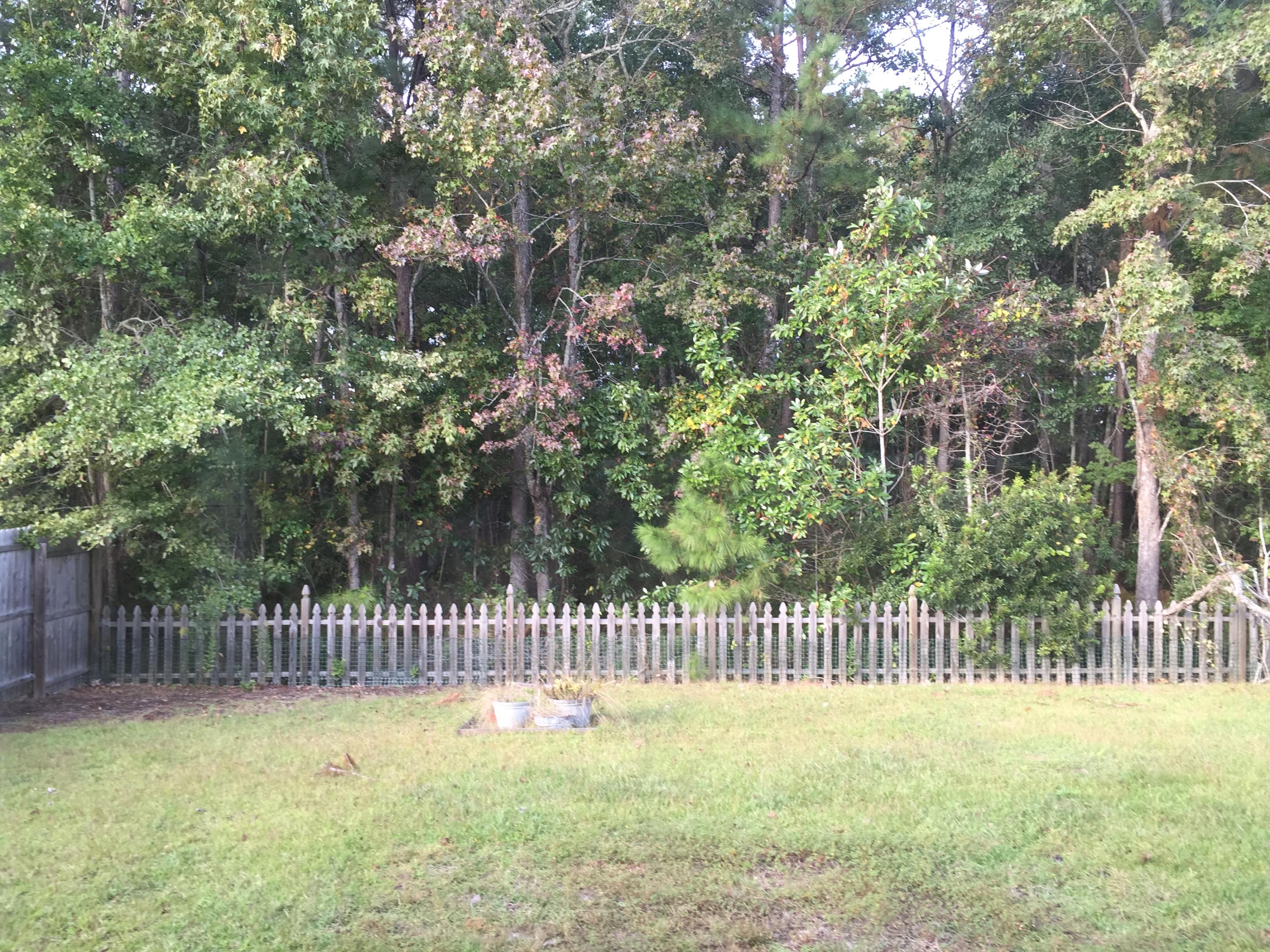 2790 August Road Johns Island, SC 29455 - Photo 15 of 16 IMG_5607