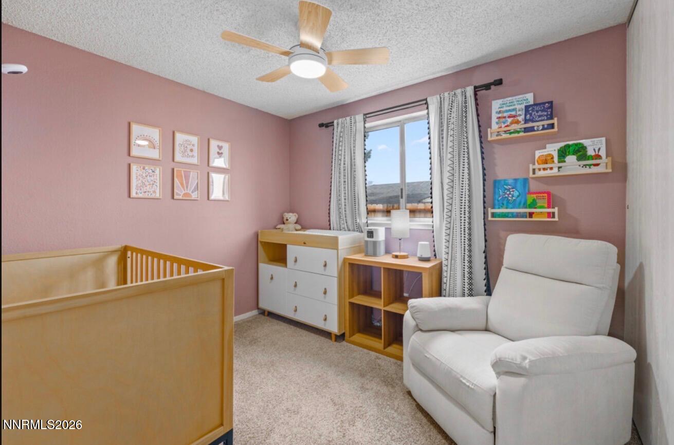10075 Hornblende Street Reno, NV 89506 - Photo 15 of 23 IMG_0026