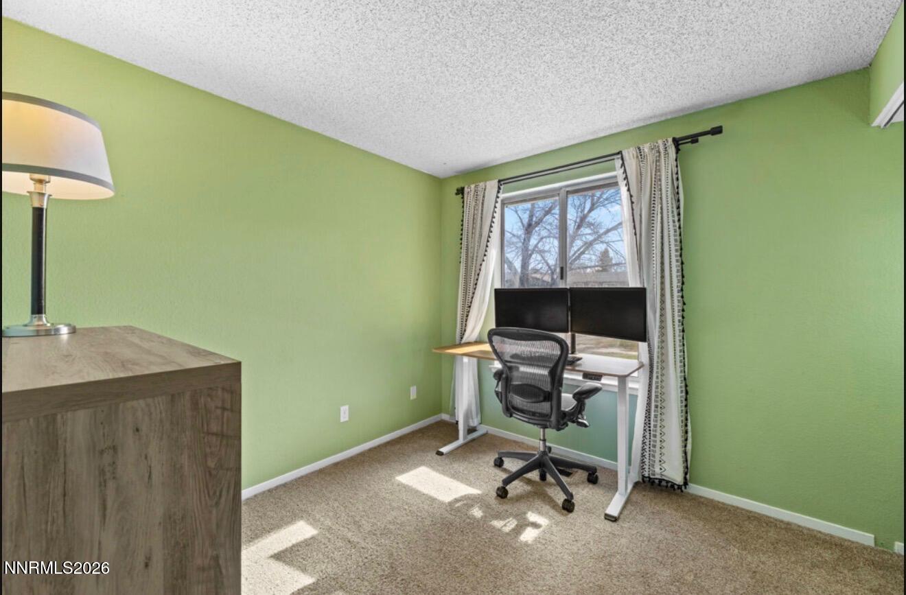 10075 Hornblende Street Reno, NV 89506 - Photo 16 of 23 IMG_0032