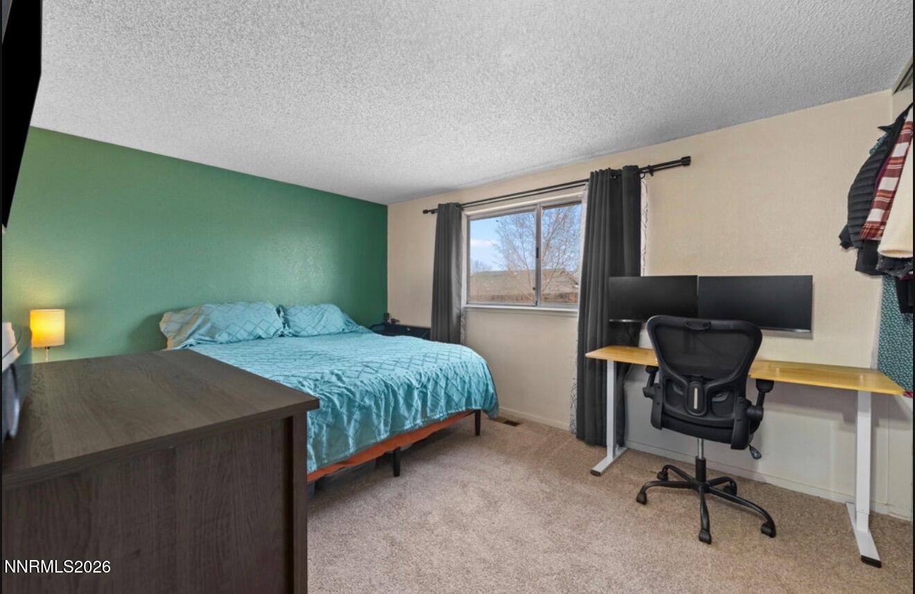10075 Hornblende Street Reno, NV 89506 - Photo 10 of 23 IMG_0029