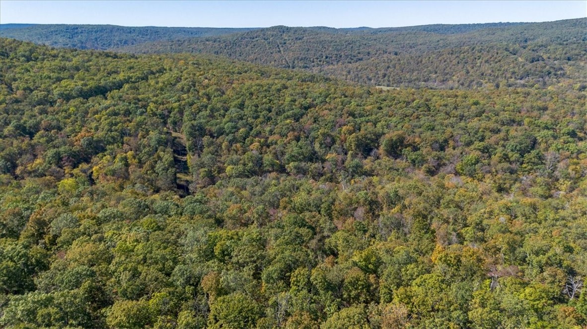 Tbd Pierson Road West Fork, AR 72774 - Photo 17 of 30 Gallery Image 17