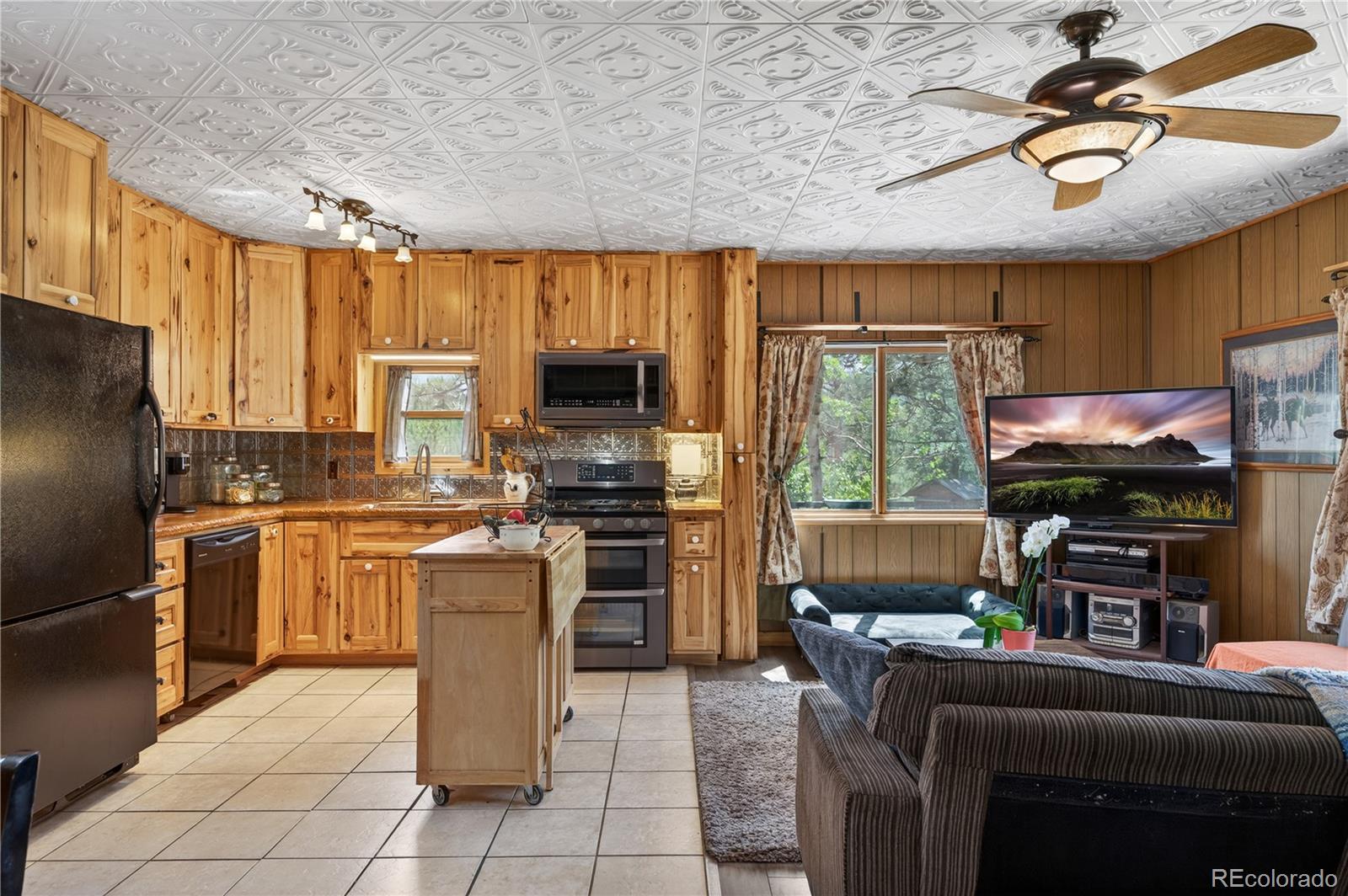 256 Houston Street Bailey, CO 80421 - Photo 13 of 34