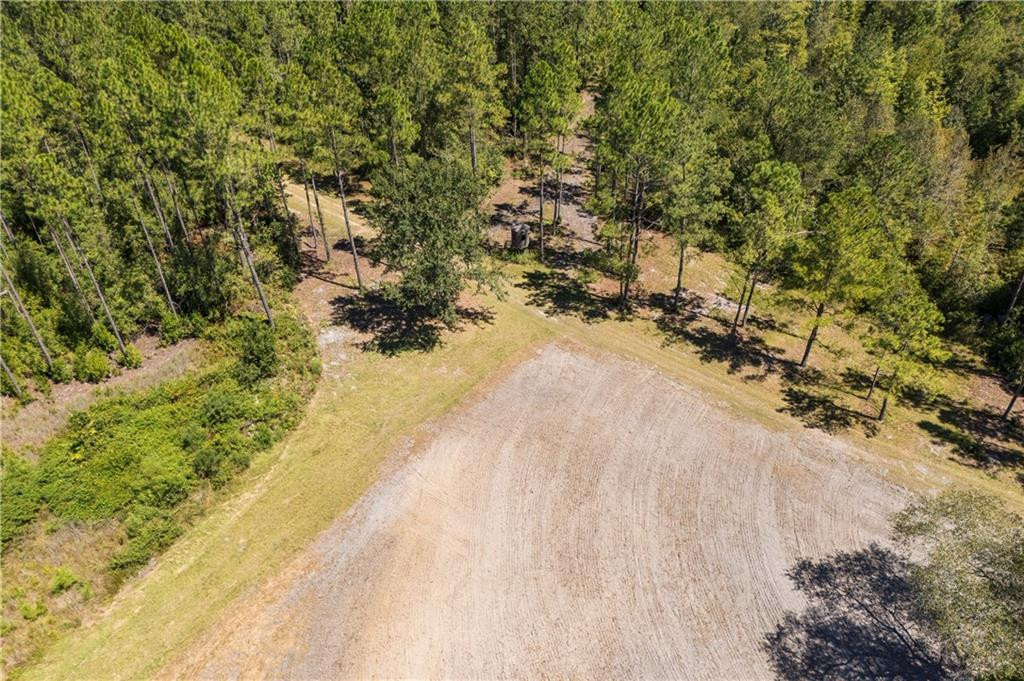 1603 Dl Durrence Road Reidsville, GA 30453 - Photo 28 of 31 Photo 28