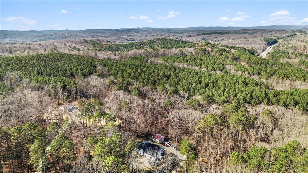 526 Antioch Church Road Talking Rock, GA 30175 - Photo 36 of 38 a view of a city with lush green forest