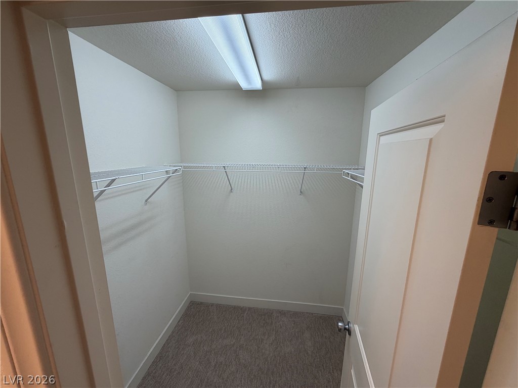 7879 Shoreline Ridge Court Las Vegas, NV 89166 - Photo 14 of 26 A functional walk-in closet includes wire shelving and soft wall-to-wall carpeting.
