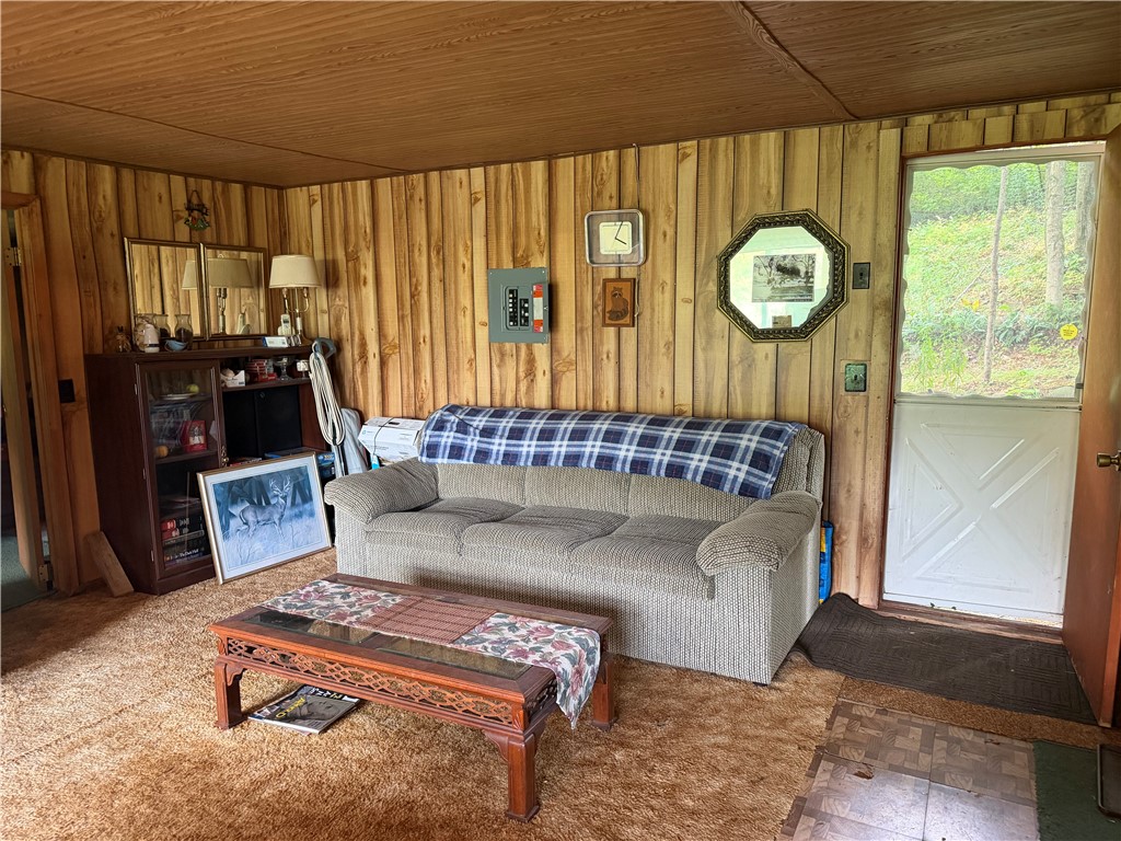 11035 Schwingle Road Prattsburgh, NY 14873 - Photo 15 of 28 Gallery Image 15