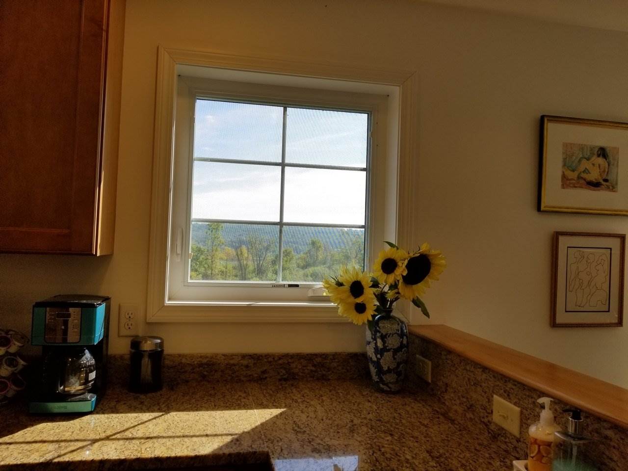 5 Hopkins Road Vergennes, VT 05491 - Photo 16 of 33 Gallery Image 16