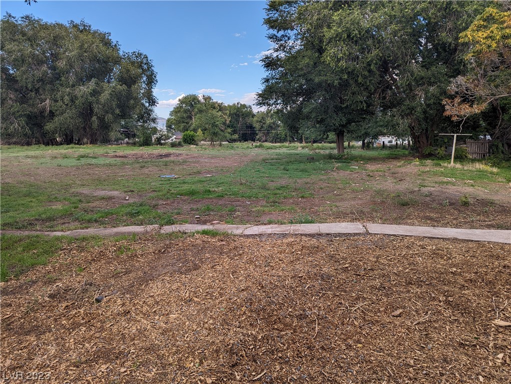 173 North 5th Street Panaca, NV 89042 - Photo 7 of 26 HUGE Yard - (.8 Acres)