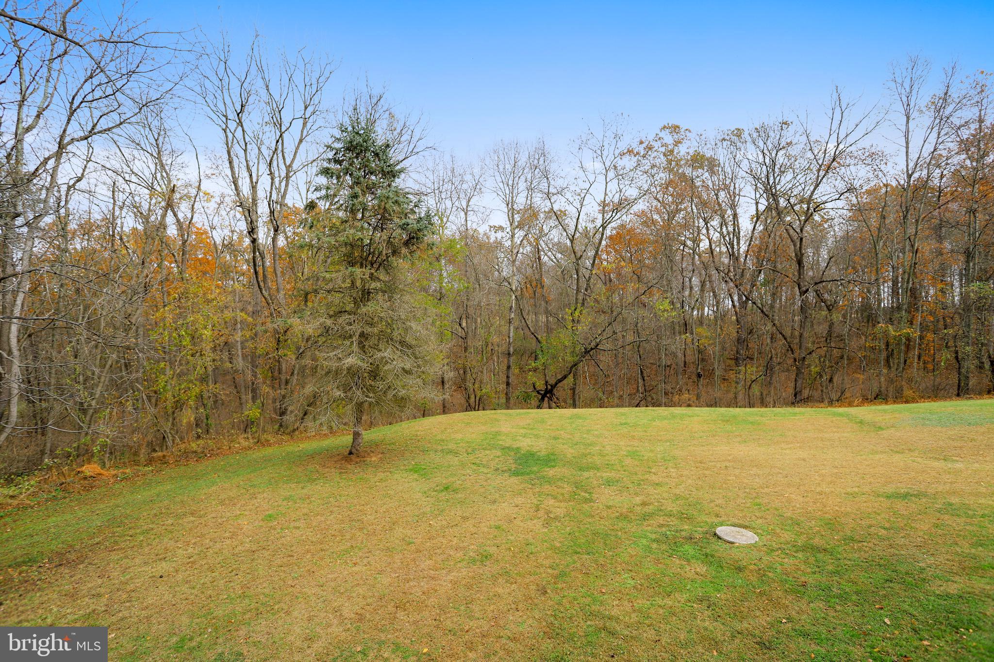 18237 Foreston Road Parkton, MD 21120 - Photo 29 of 29 Yard