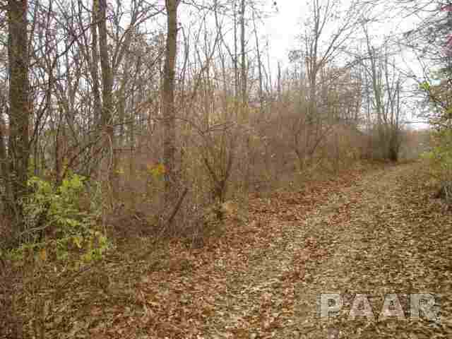 7108 North Switzer Road Brimfield, IL 61517 - Photo 1 of 1