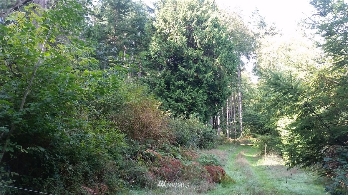 21101 Tramp Harbor Road Southwest Vashon, WA 98070 - Photo 1 of 5