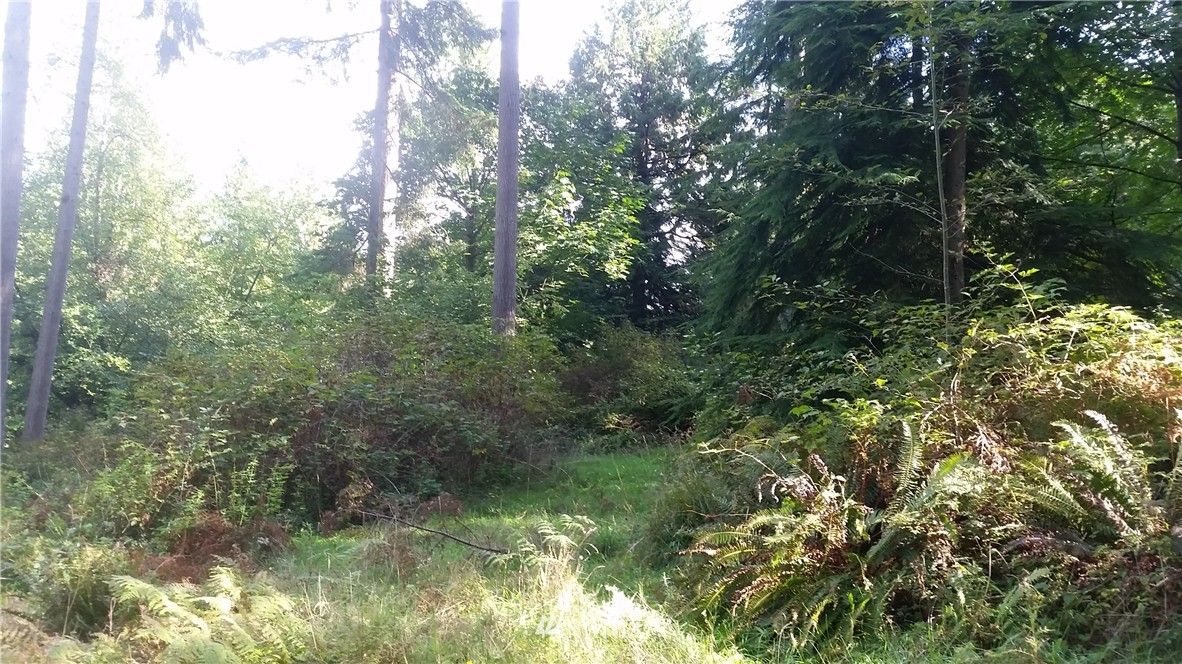 21101 Tramp Harbor Road Southwest Vashon, WA 98070 - Photo 2 of 5