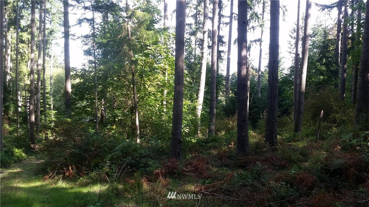 21101 Tramp Harbor Road Southwest Vashon, WA 98070 - Photo 3 of 5