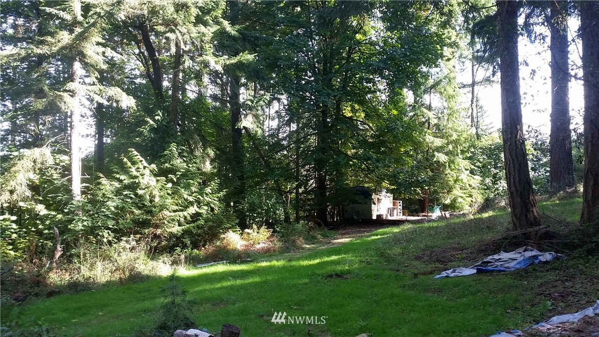 21101 Tramp Harbor Road Southwest Vashon, WA 98070 - Photo 4 of 5