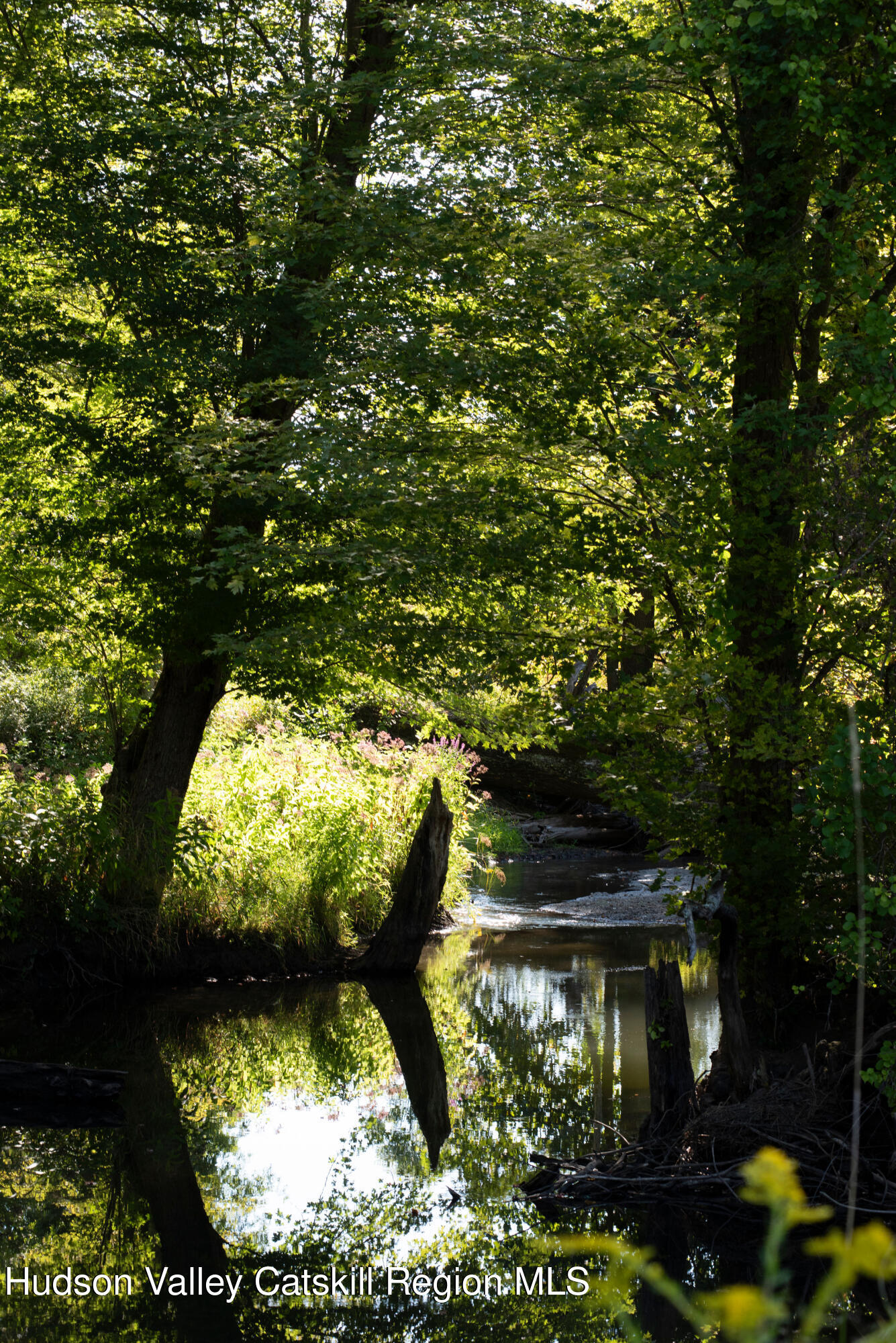 78 Waldorf Ridge Road Copake, NY 12516 - Photo 15 of 50 a view of swimming pool
