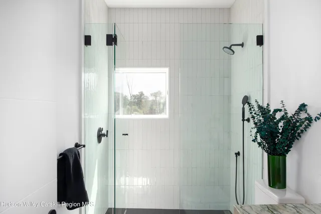 a view of bathroom with a potted plant