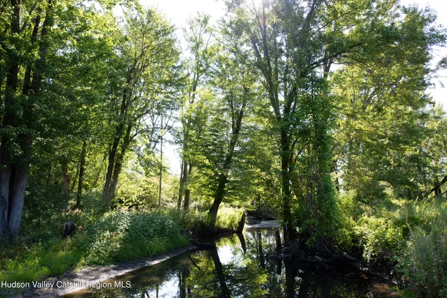 a view of a forest with a mountain