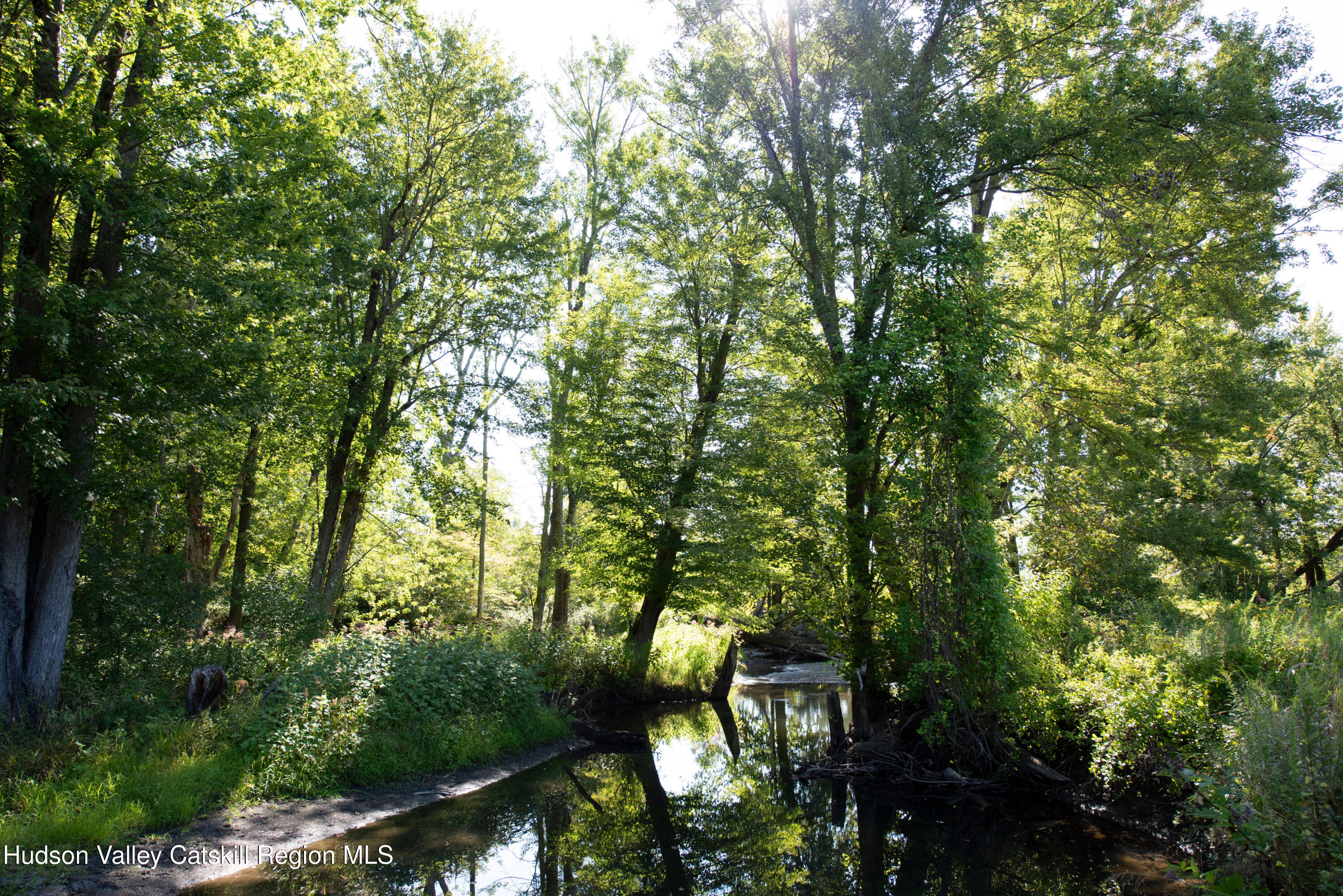 78 Waldorf Ridge Road Copake, NY 12516 - Photo 49 of 50 a view of a tree