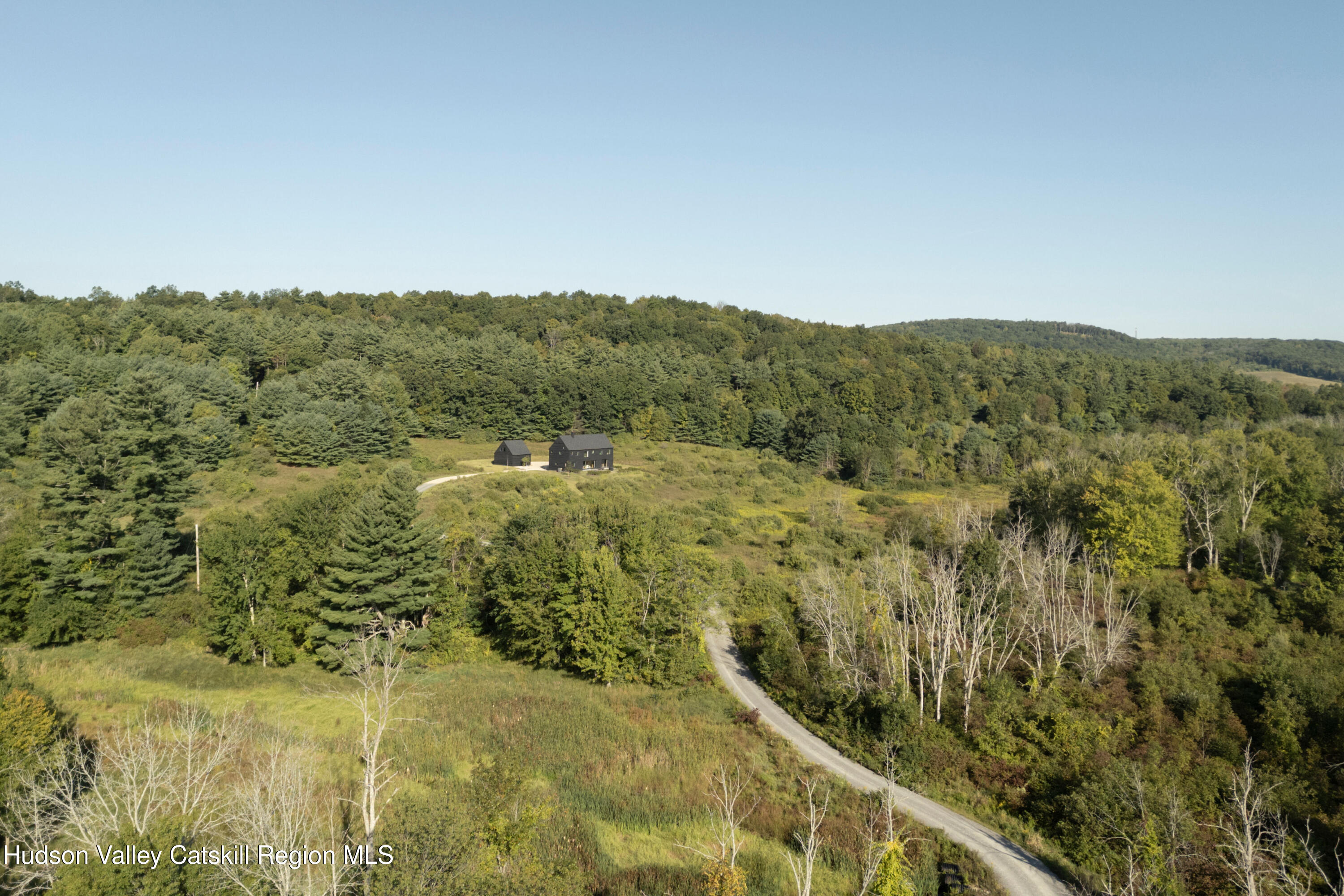 78 Waldorf Ridge Road Copake, NY 12516 - Photo 50 of 50 a view of a forest with a mountain