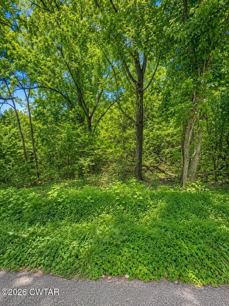 0 Reeves Street Lexington, TN 38351 - Photo 1 of 3 Reeves1
