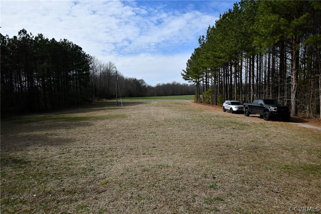 204 Hazelwood Road Aylett, VA 23009 - Photo 6 of 18 Front Yard looking out from front door
