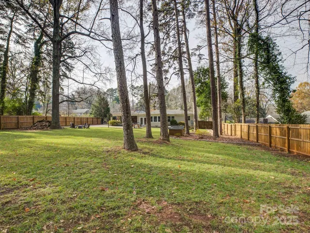 a view of a park with large trees
