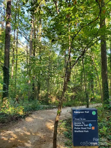 a view of a sign in a forest