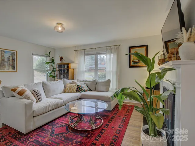 a living room with furniture and a potted plant