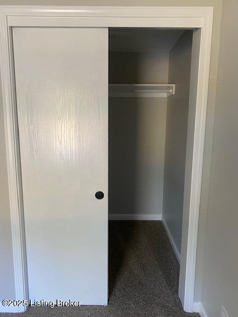 3547 Peck Pike Road Milton, KY 40045 - Photo 9 of 30 Primary bedroom closet