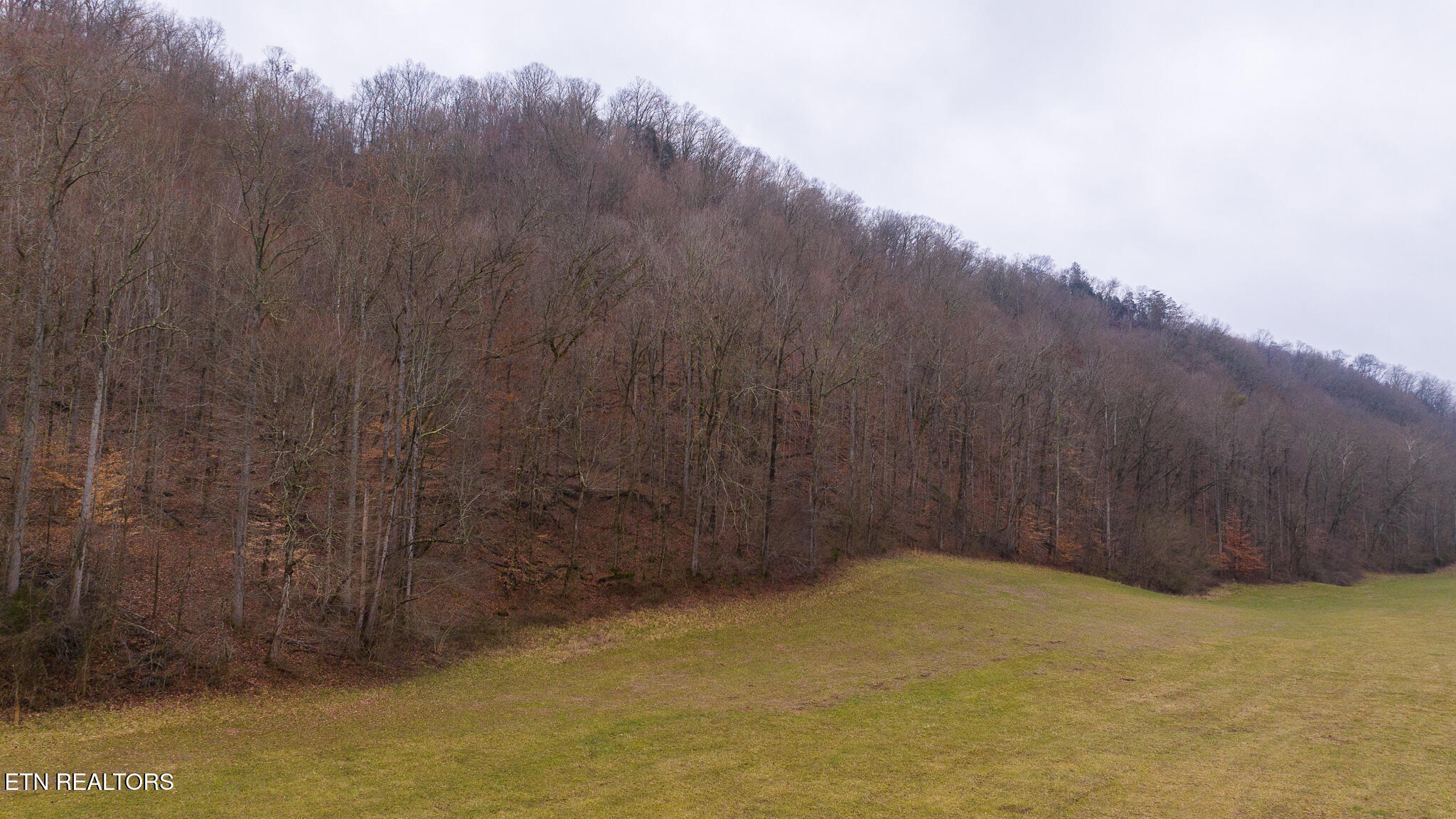 0 Gap Creek Road Bulls Gap, TN 37711 - Photo 11 of 34 DJI_20250127144939_0557_D