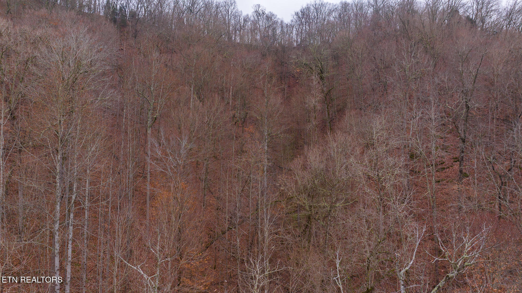 0 Gap Creek Road Bulls Gap, TN 37711 - Photo 12 of 34 DJI_20250127144949_0558_D