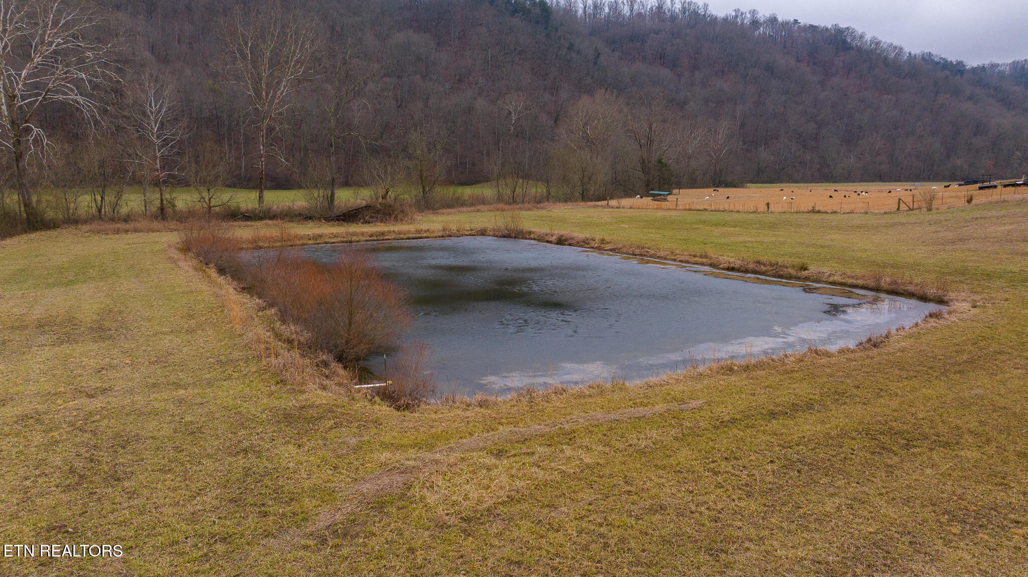 0 Gap Creek Road Bulls Gap, TN 37711 - Photo 2 of 34 DJI_20250127144503_0546_D