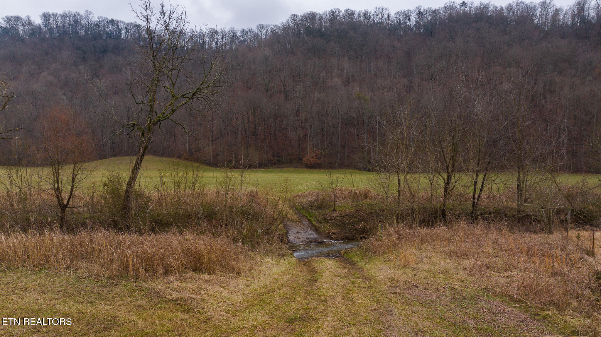 0 Gap Creek Road Bulls Gap, TN 37711 - Photo 21 of 34 DJI_20250127150853_0569_D