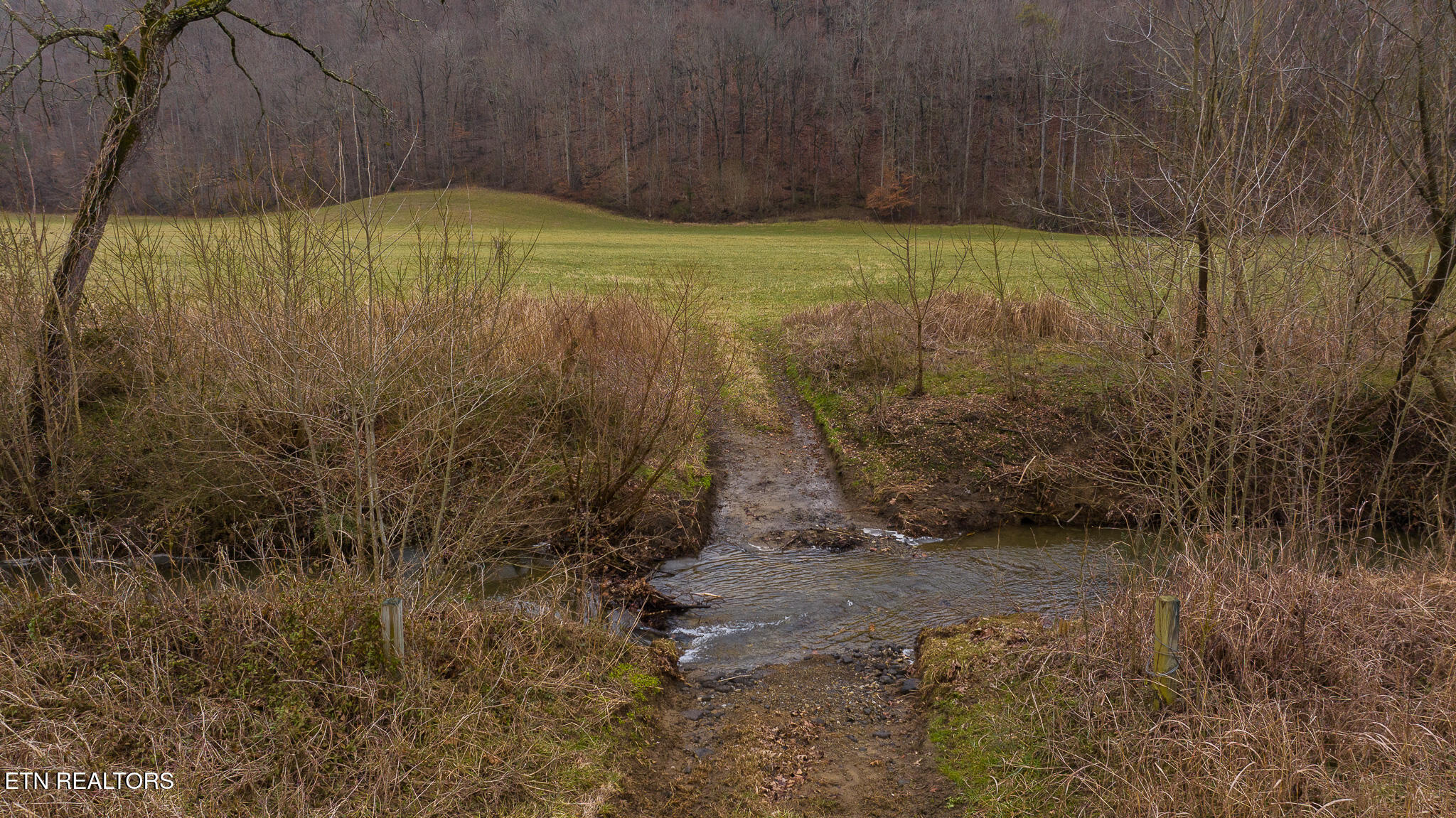 0 Gap Creek Road Bulls Gap, TN 37711 - Photo 22 of 34 DJI_20250127150900_0570_D