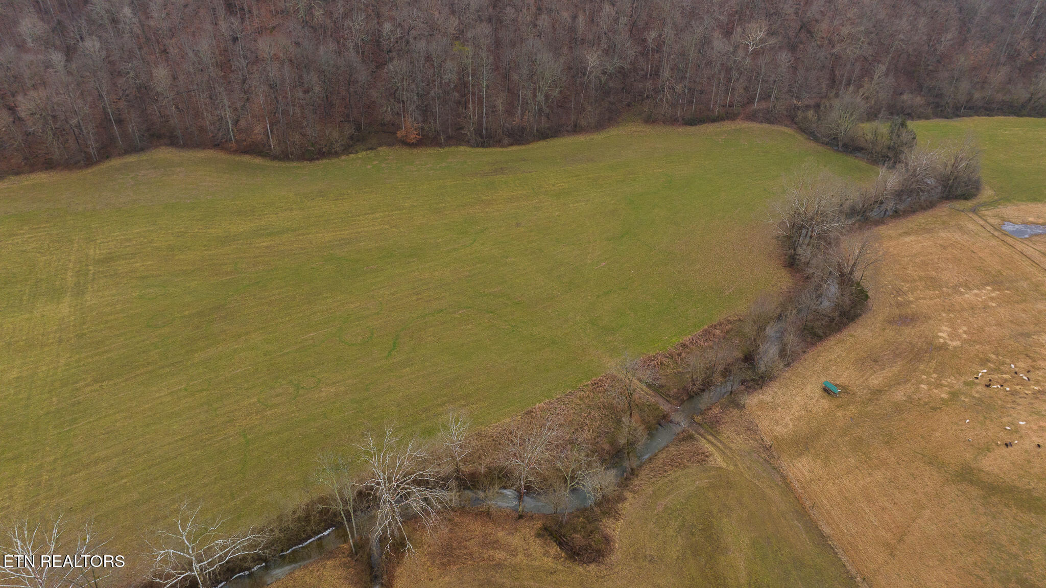 0 Gap Creek Road Bulls Gap, TN 37711 - Photo 30 of 34 DJI_20250127151958_0592_D