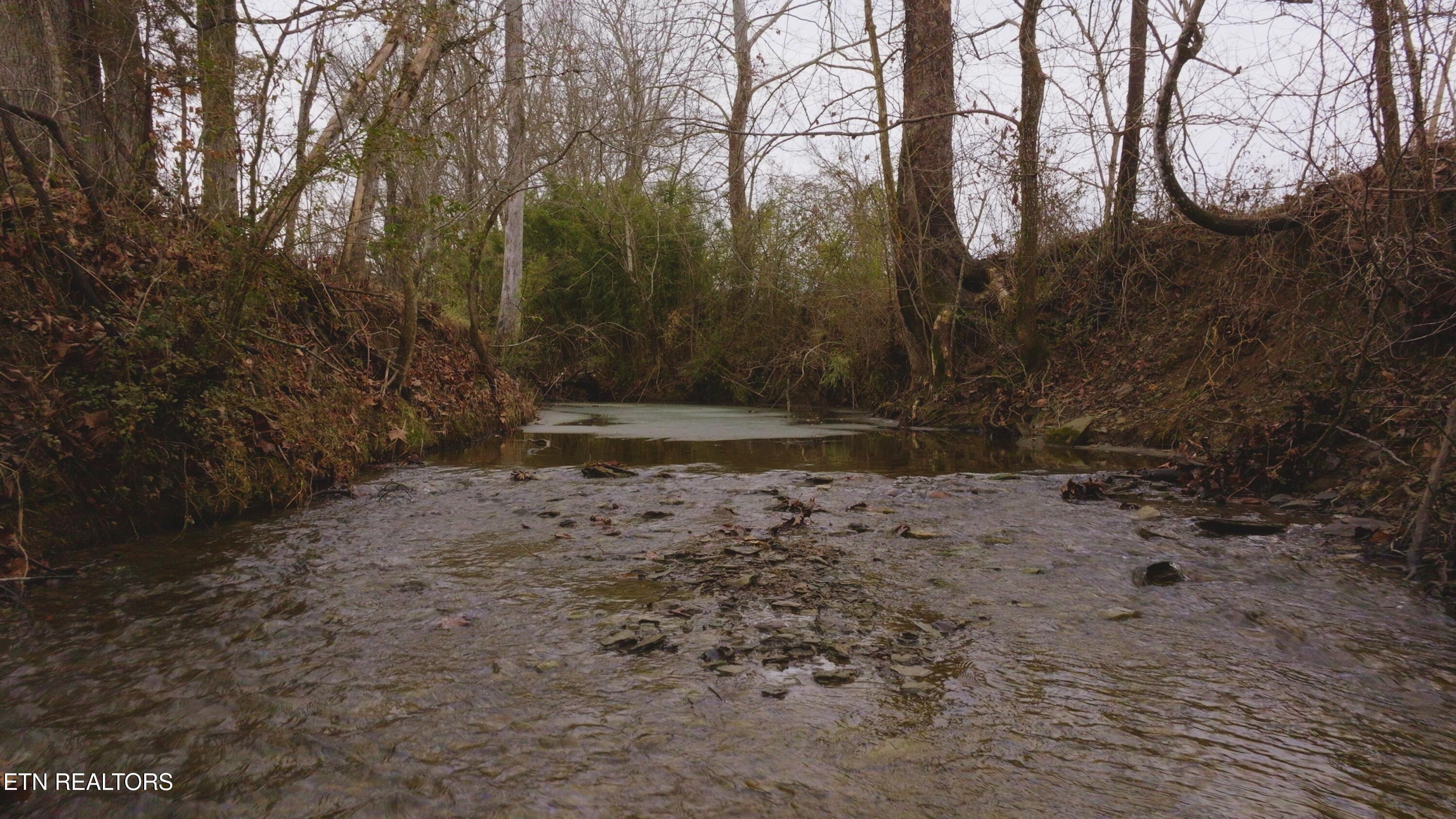 0 Gap Creek Road Bulls Gap, TN 37711 - Photo 3 of 34 Still 2025-01-27 202204_1.2.1