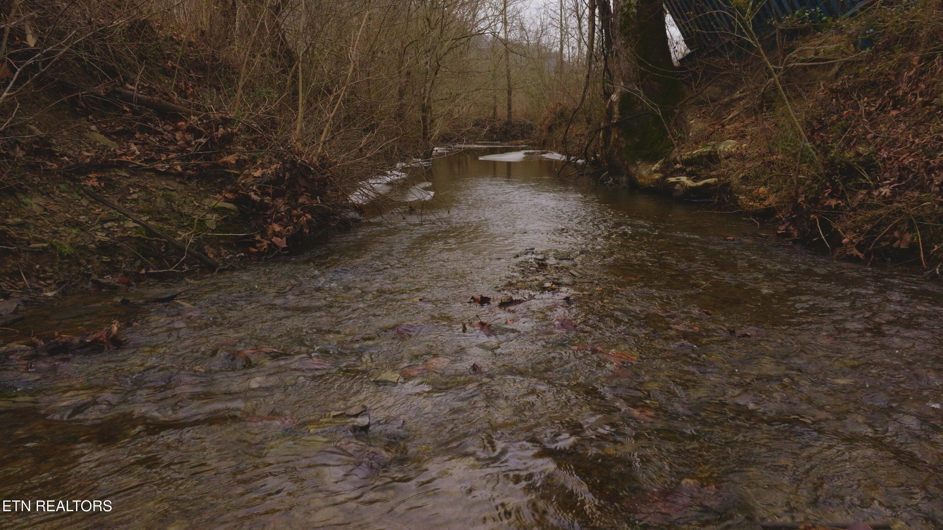 0 Gap Creek Road Bulls Gap, TN 37711 - Photo 4 of 34 Still 2025-01-27 202204_1.3.1