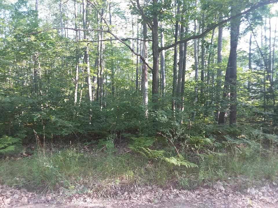 Xxx Au Sable Road Roscommon, MI 48653 - Photo 2 of 3 Gallery Image 2