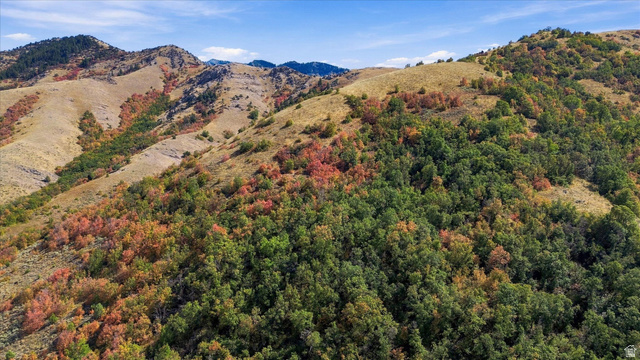 3000 Canyon Road Smithfield, UT 84335 - Photo 4 of 10 Expansive mountainside terrain featuring varied natural foliage and open, undeveloped land