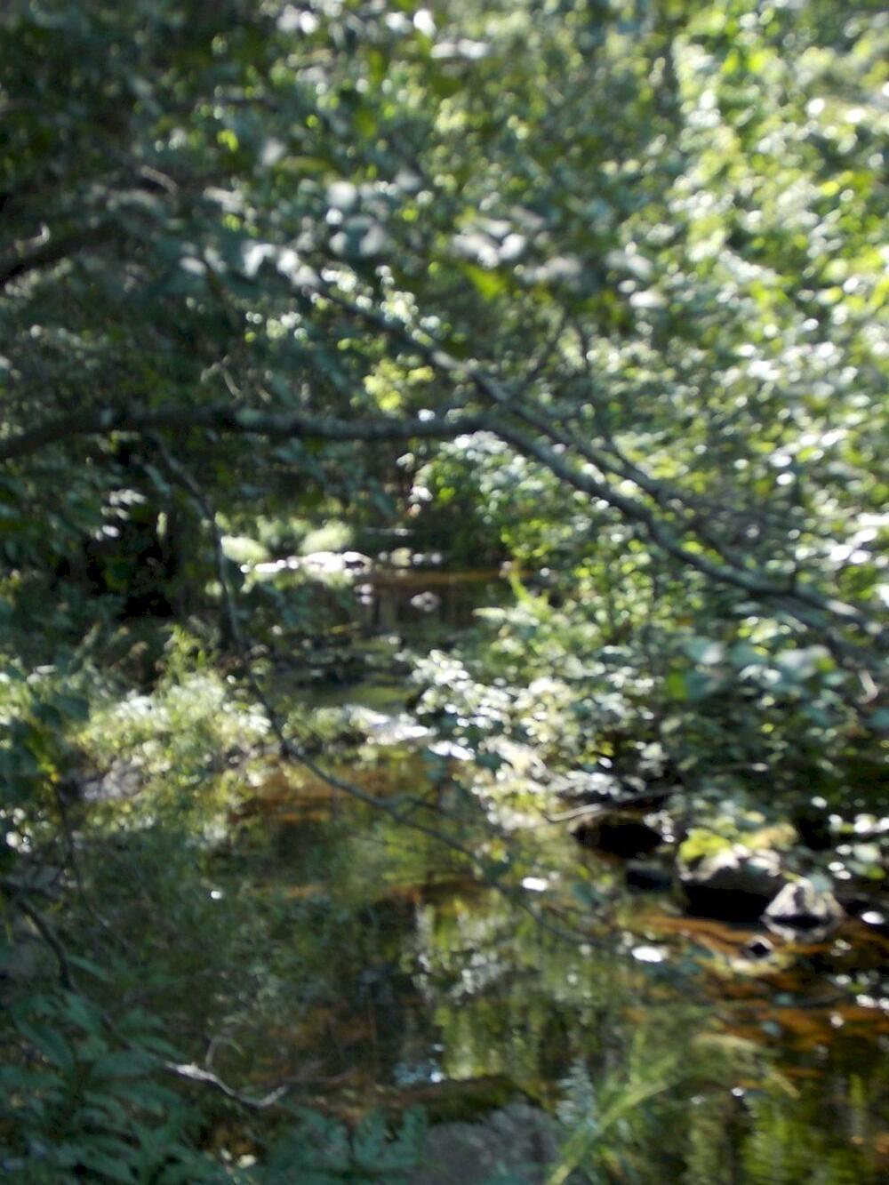 188 James Road Cornville, ME 04976 - Photo 69 of 78 DSCN5183