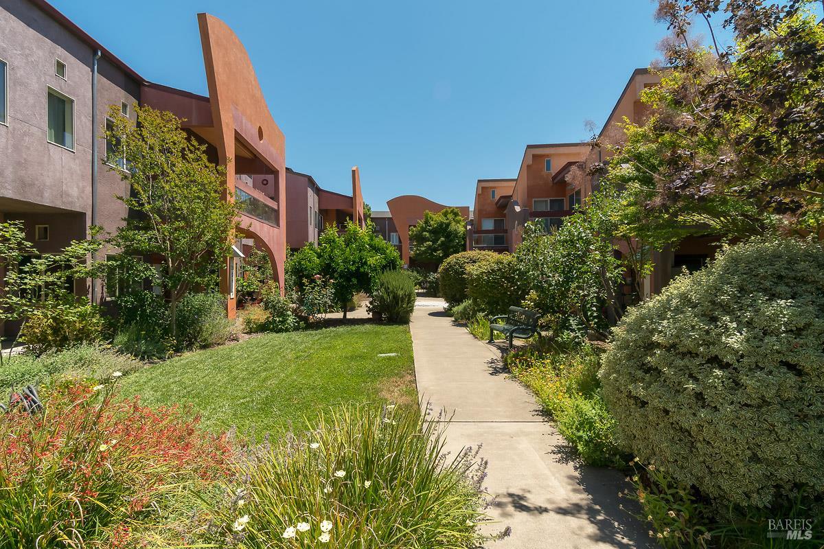 a view of a garden with pathway