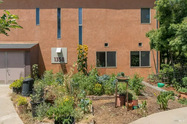 a front view of a house with plants