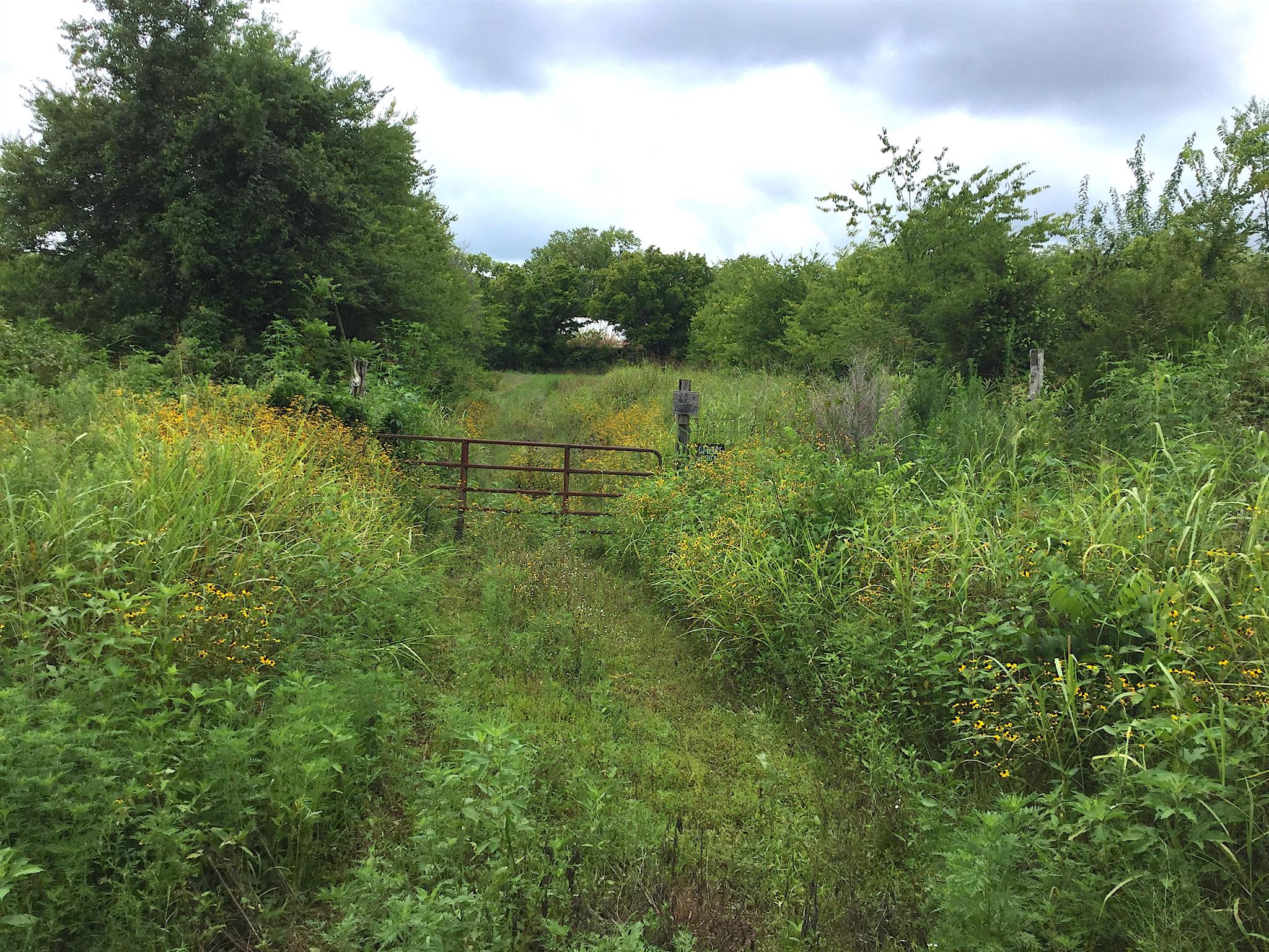 896 Cunningham Road Readyville, TN 37149 - Photo 1 of 5 a view of a green field with lots of bushes